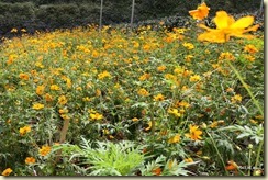Flora Park Cameron Highlands