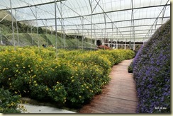 Flora Park Cameron Highlands