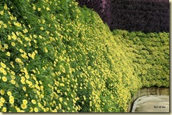 Flora Park Cameron Highlands