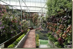 Flora Park Cameron Highlands