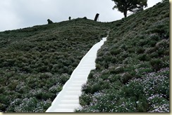 Flora Park Cameron Highlands
