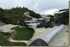 Flora Park Cameron Highlands