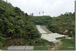 Flora Park Cameron Highlands