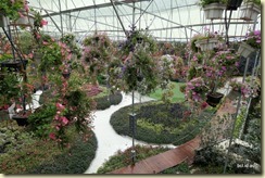 Flora Park Cameron Highlands