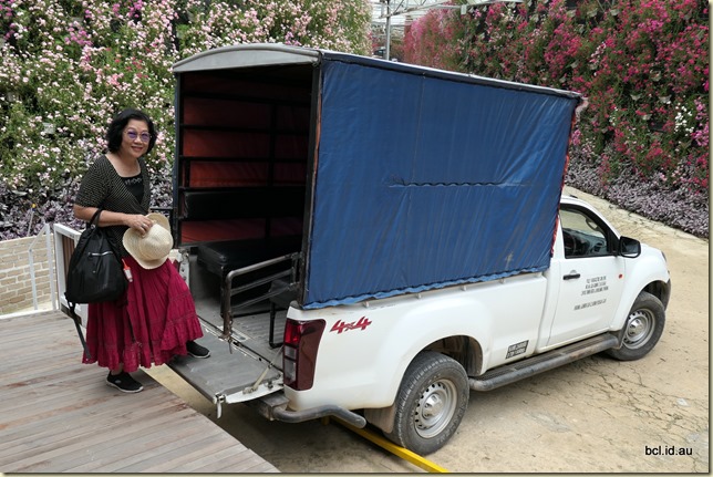  Flora Park Transport