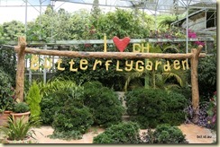 Butterfly Gardens