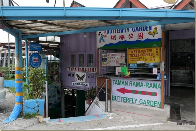 Butterfly Gardens Cameron Highlands 