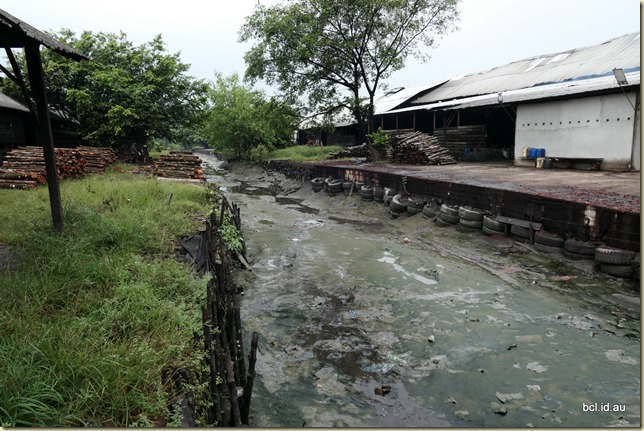 Creek Where Timber Arrives