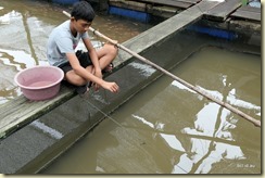 Boy playing with Archer Fish