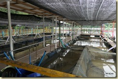 Port Weld Kuala Sepetang