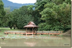 Taiping Lake Gardens 