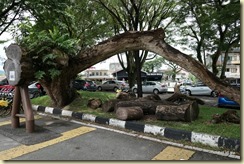 Taiping Lake Gardens 