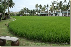 Kampung Agong Penang