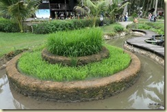 Kampung Agong Penang