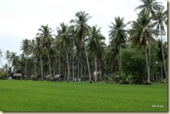 Kampung Agong Penang