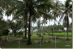 Kampung Agong Penang