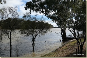 Murray River