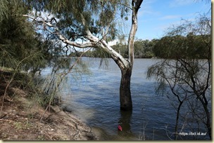Murray River