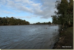 Murray River