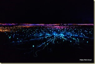 Field of Lights Yulara
