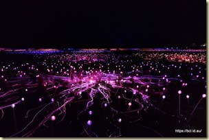 Field of Lights Yulara