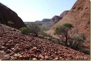Valley of the Winds Kata Tjuta
