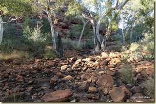 Kings Creek Walk Kings Canyon