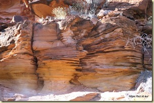 Kings Creek Walk Kings Canyon