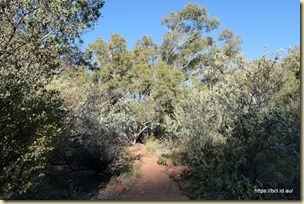 Kings Creek Walk Kings Canyon