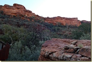 Kings Creek Walk Kings Canyon