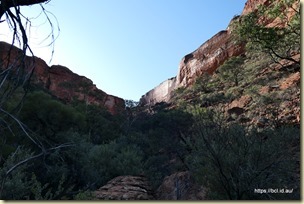 Kings Creek Walk Kings Canyon