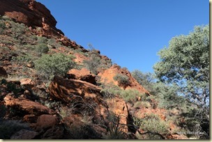 Kings Creek Walk Kings Canyon