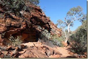 Kings Creek Walk Kings Canyon
