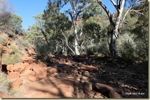 Kings Creek Walk Kings Canyon
