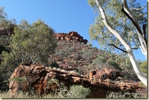 Kings Creek Walk Kings Canyon