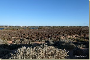Beach Shoreline  Caravan Park Port Augusta