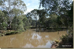 The Wetlands, West Wyalong