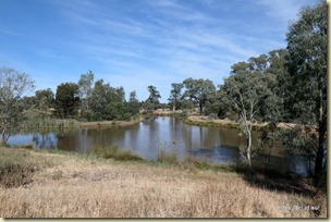 The Wetlands, West Wyalong