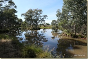 The Wetlands, West Wyalong