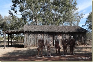 Cooinda Reserve, West Wyalong