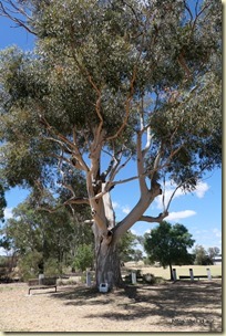 Grenfell - Henry Lawson Birthplace