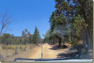 Driving Home from Weddin National Park
