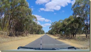 Road Near Lockhart