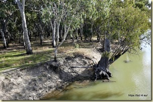 Murrumbidgee River