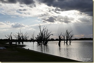 Barmera Lake Bonney