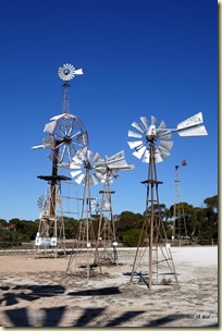 Penong Windmills