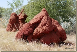 Fitzroy Crossing to Halls Creek