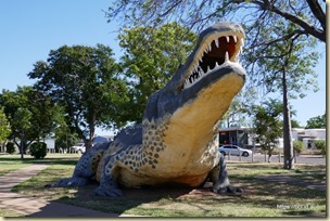 Wyndham Big Croc