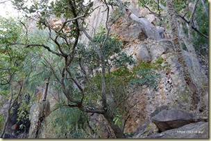 Katherine Gorge (Nitmiluk)