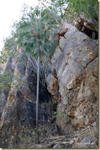 Katherine Gorge (Nitmiluk)